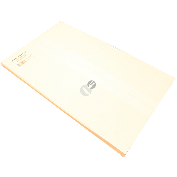 Bakpapier siliconen 41gr 1/1 GN 500vel