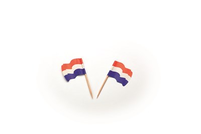 Vlagprikker Nederland wapperend 5 x 144